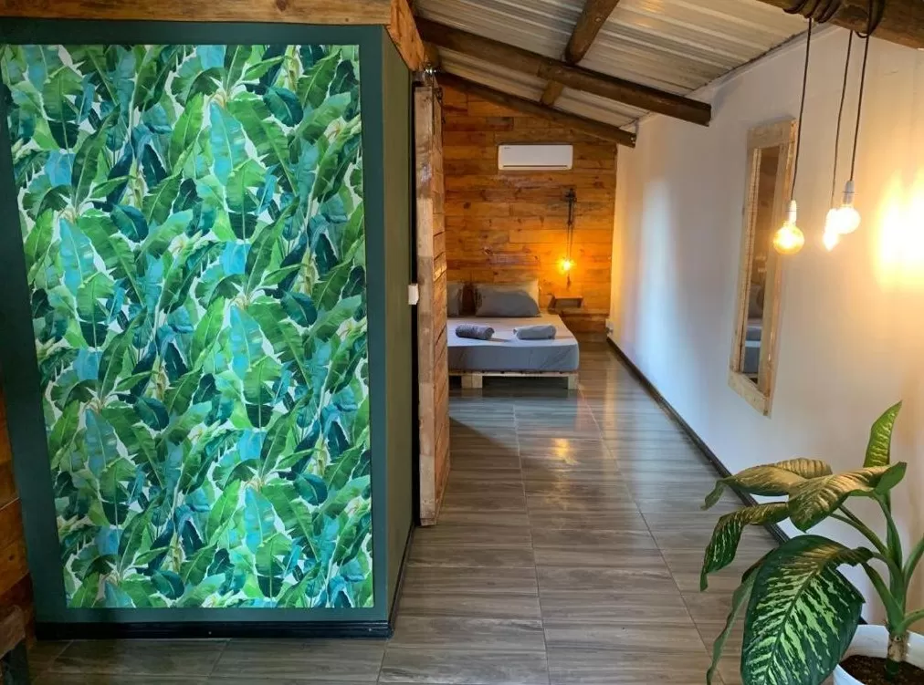 Room 8: Deluxe Ground Floor, Terrace & Beachfront